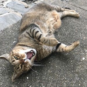 Meet your Posher, Julian