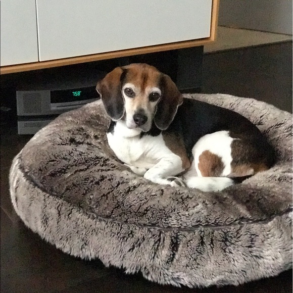 Meet your Posher, Brenda - Picture 2 of 2