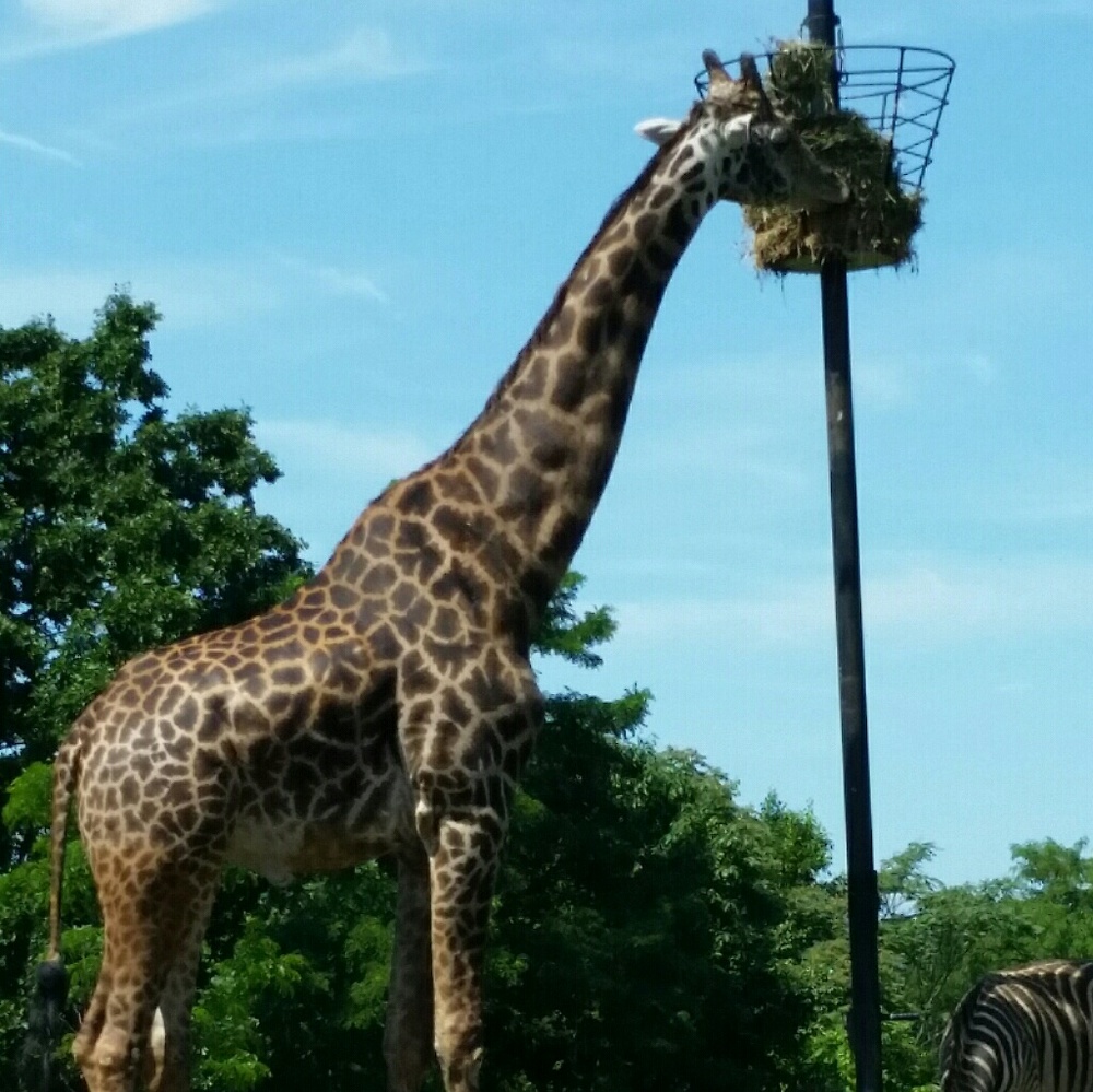 Meet your Posher, Michelle