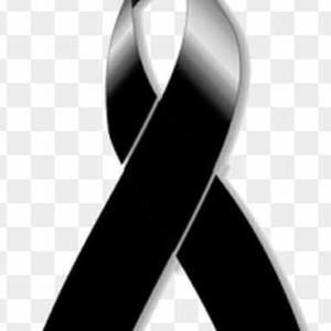 Meet your Posher, Joel