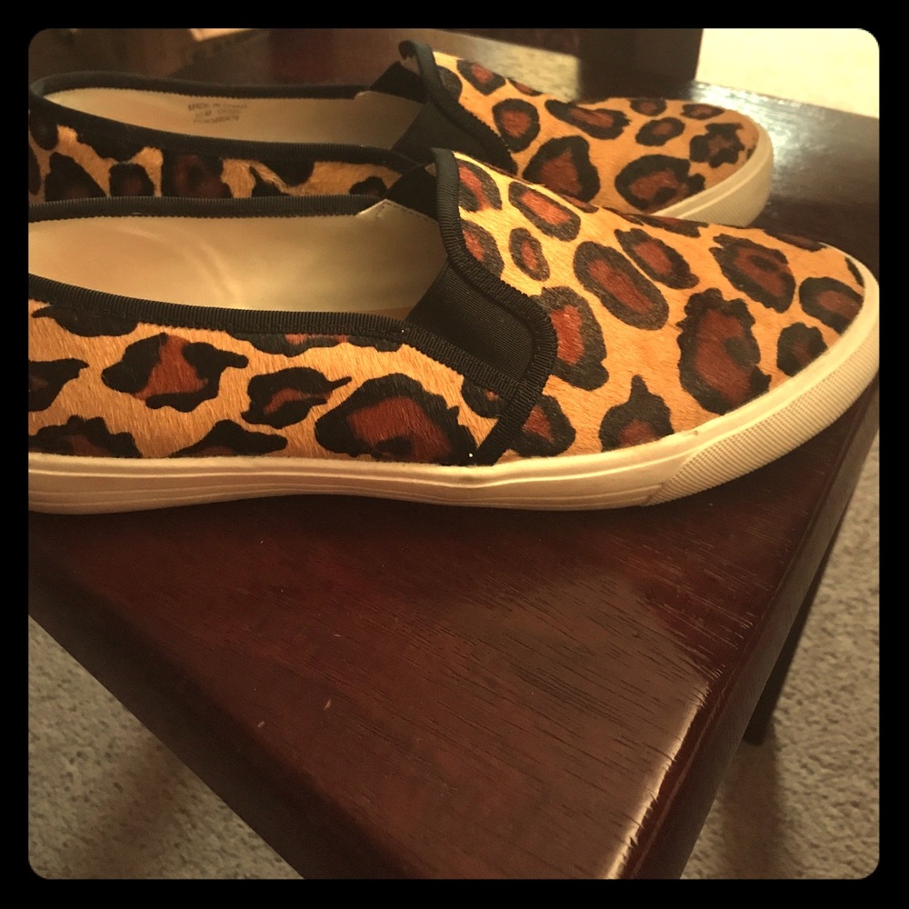 Animal Print!