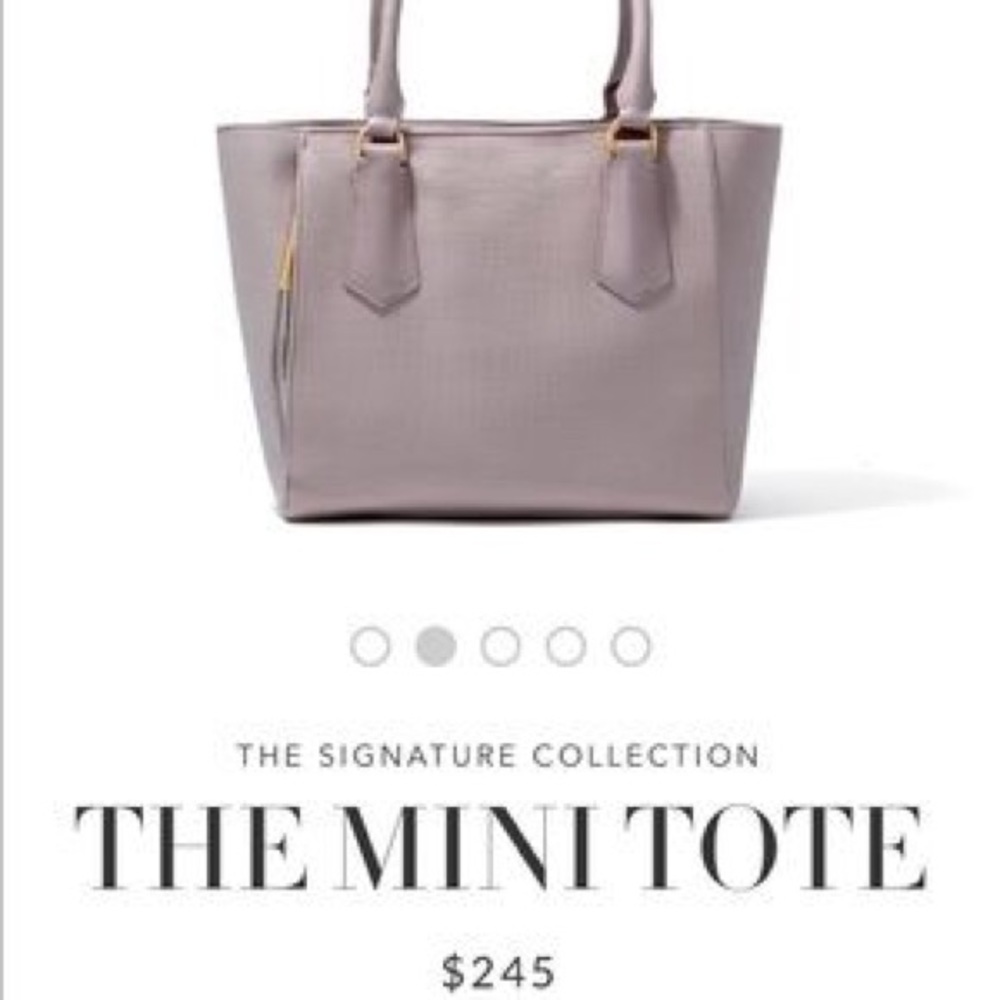 NWT Dagne Dover Mini Tote