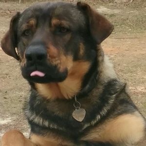 Meet your Posher, Harriett