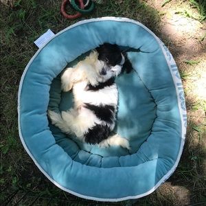 Meet your Posher, Mattie