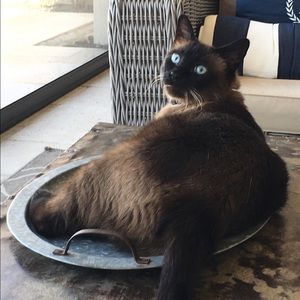 Meet your Posher, Christin