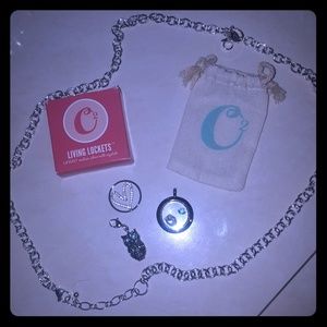 Origami Owl set