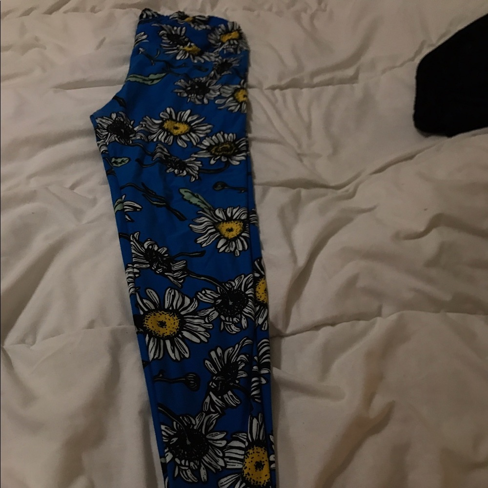 T/c lularoe leggings