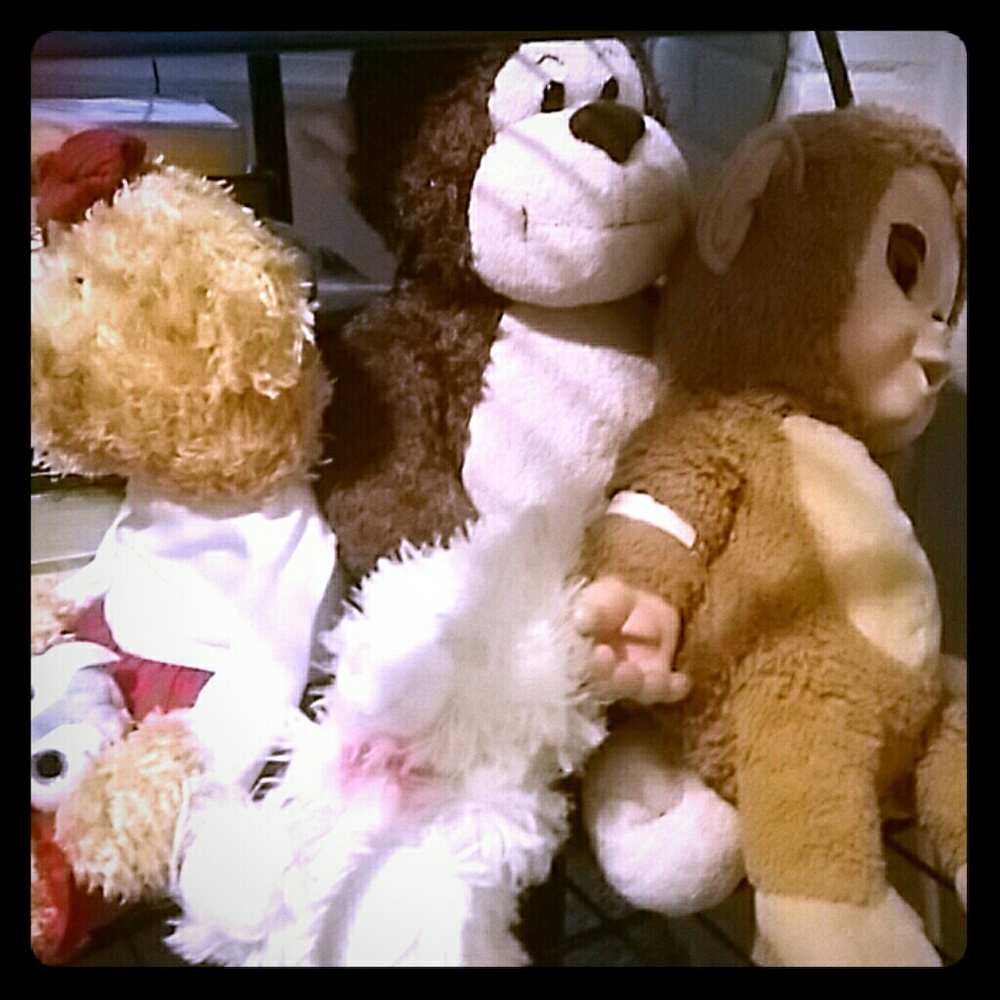 Meet your Posher, Gigi