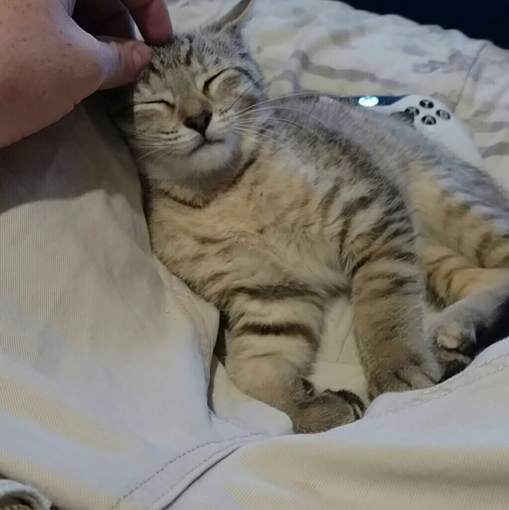 Meet your Posher, Jessica