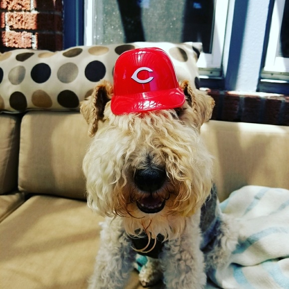 Meet your Posher, Stacey - Picture 2 of 4