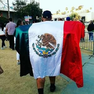 Meet your Posher, Martin