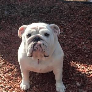 Meet your Posher, Don