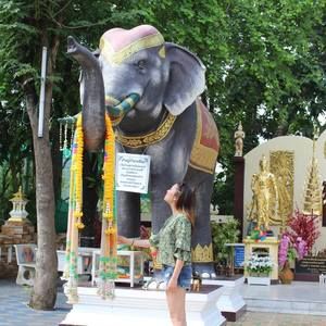 Meet your Posher, Honoré