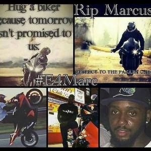 Meet your Posher, Phillip