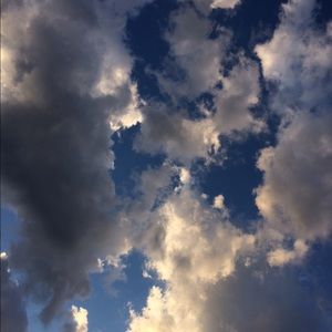 Meet your Posher, Elaina