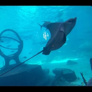 Meet your Posher, Rolando