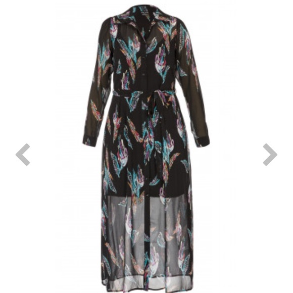 Plus size sheer Maxi - Picture 1 of 5