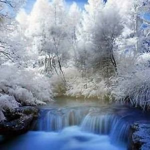 Meet your Posher, Tonya