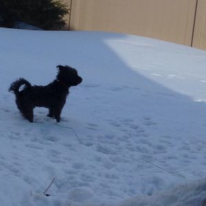 Meet your Posher, Parker