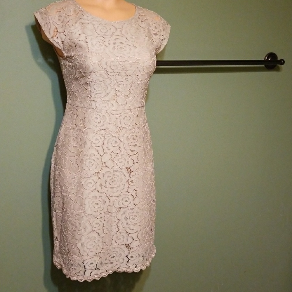 NWT Lace  Scalloped Cocktail-party dress