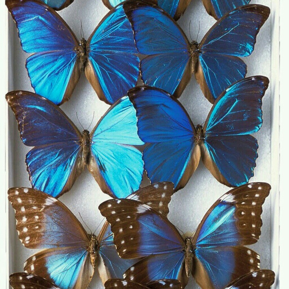 Meet your Posher, Gayle