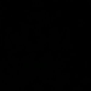 Meet your Posher, Josiah