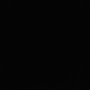 Meet your Posher, Brodie