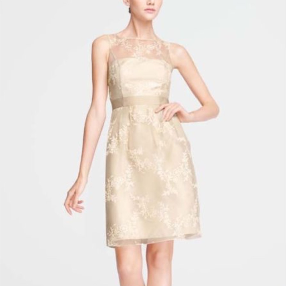 Davids Bridal sleeveless Organza dress