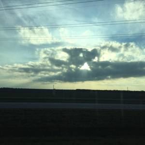 Meet your Posher, Reginald