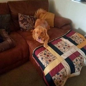 Meet your Posher, Anna