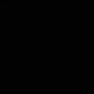 Meet your Posher, Sofia