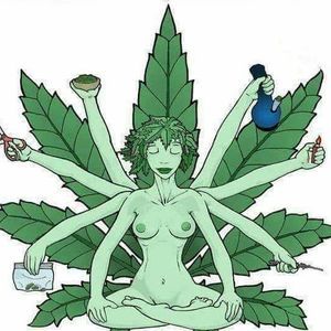 Meet your Posher, Dayvon