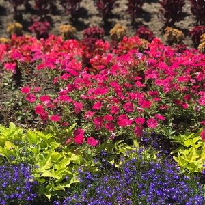 Meet your Posher, Ashly