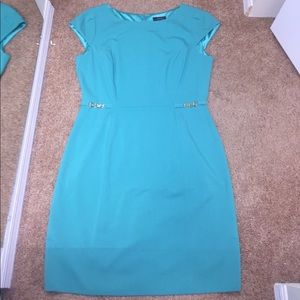 Tahari Arthur Levine dress