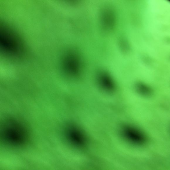 Meet your Posher, Chris - Picture 1 of 1