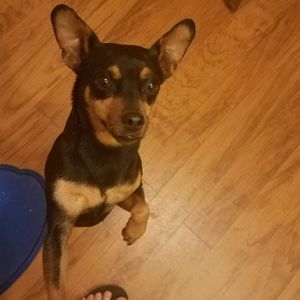 Meet your Posher, Cassie