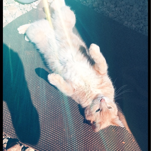 Meet your Posher, Jacob - Picture 1 of 1