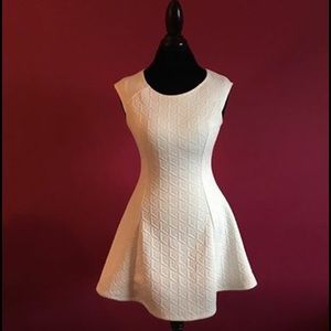 Forever 21 Skater Dress