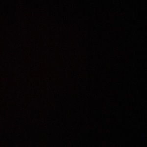 Meet your Posher, Hayden