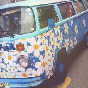 Meet your Posher, Daisy