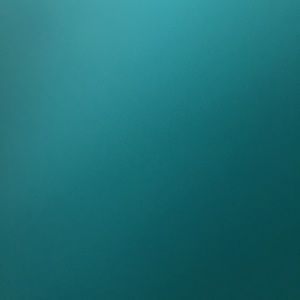 Meet your Posher, Frances