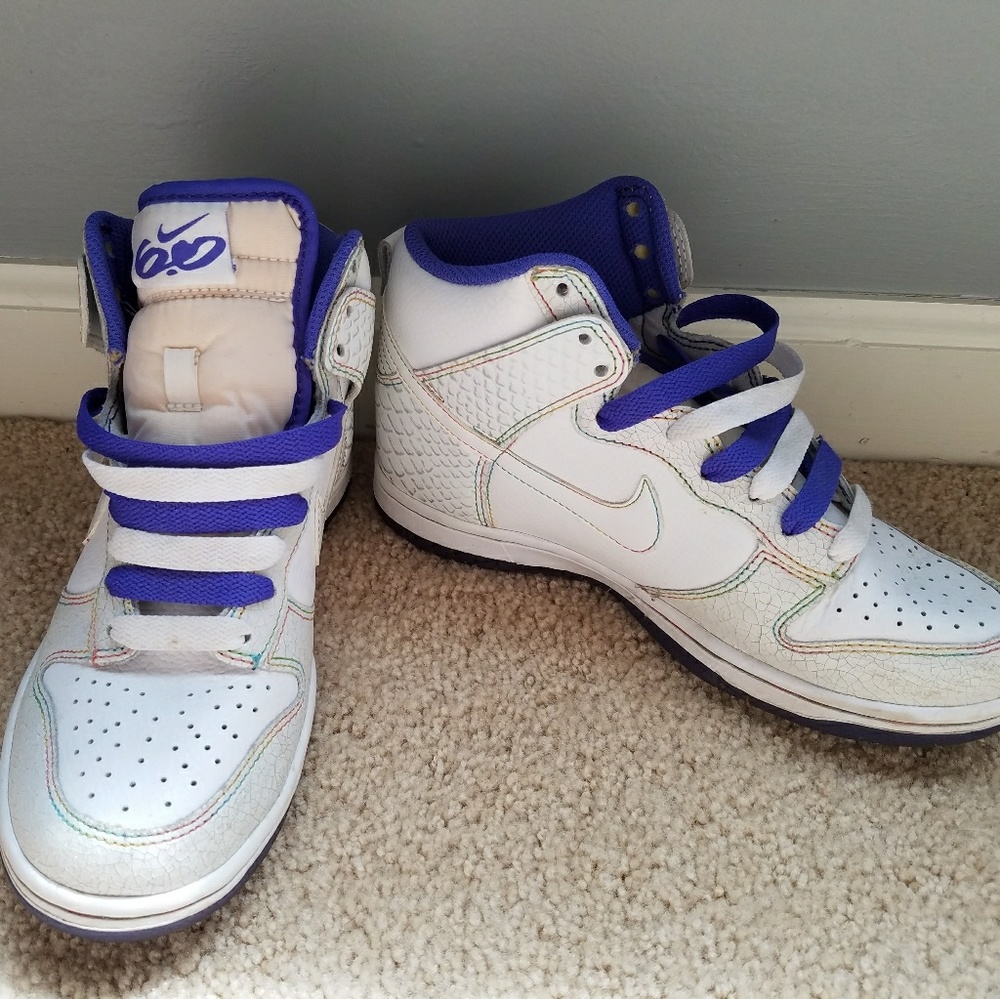 Nike dunk hightop 6.0