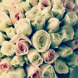 Meet your Posher, Vera