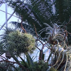 Meet your Posher, Larissa