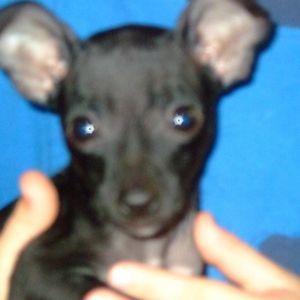 Meet your Posher, Dalton