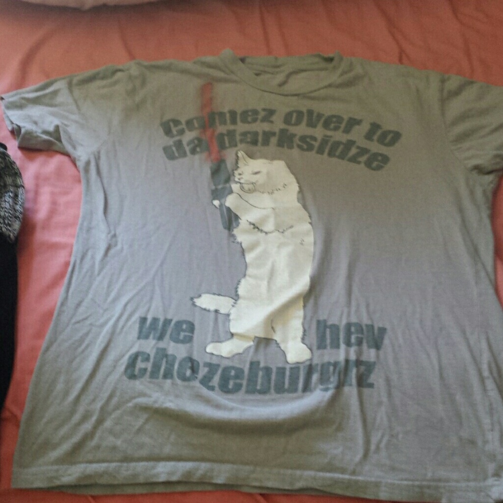 Cheeseburger cat with lightsaber