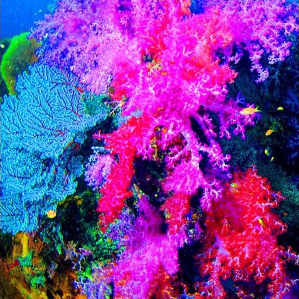 Meet your Posher, Holly