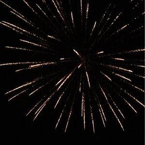 Meet your Posher, Lalani