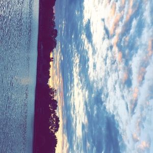 Meet your Posher, Dee dee