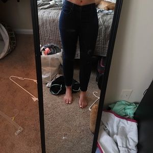 Ann Taylor Loft Jeans